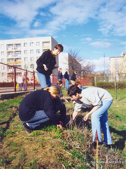 03 Sadzenie drzewek.jpg